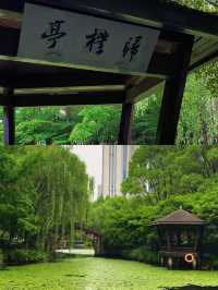 中國版亞馬遜雨林