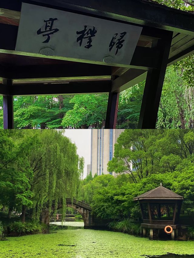中國版亞馬遜雨林
