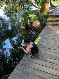 杭州西湖唔踩雷小眾玩法！荷花、落日、搖櫓船靚到窒息