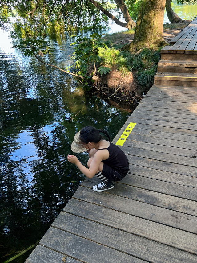 杭州西湖唔踩雷小眾玩法！荷花、落日、搖櫓船靚到窒息