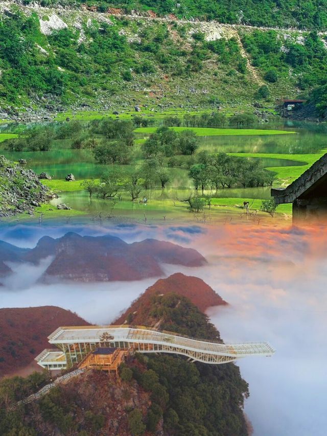 百色/一場邂逅自然與美食的奇妙之旅