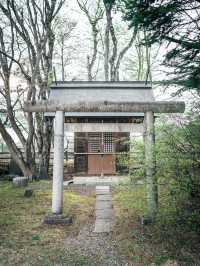 日本輕井澤「春櫻・森系・慢漫遊」2日攻略