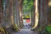 戶隱神社：神域之森嘅詩意棲居