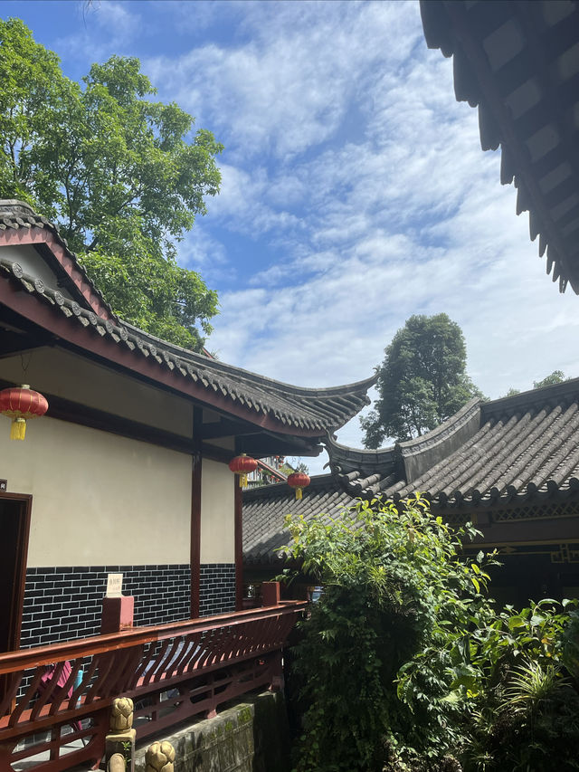 夏日賞荷，感受一份美好與寧靜