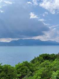 睇勻昆明撫仙湖花海