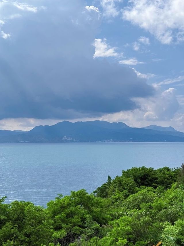 睇勻昆明撫仙湖花海