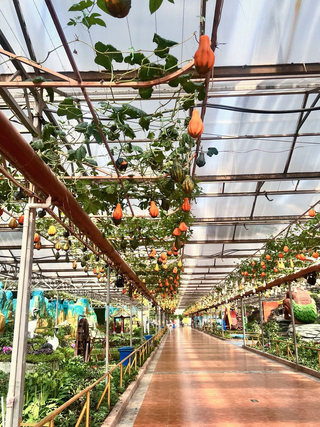 ✅ Global innovations – See how China leads in smart agriculture!