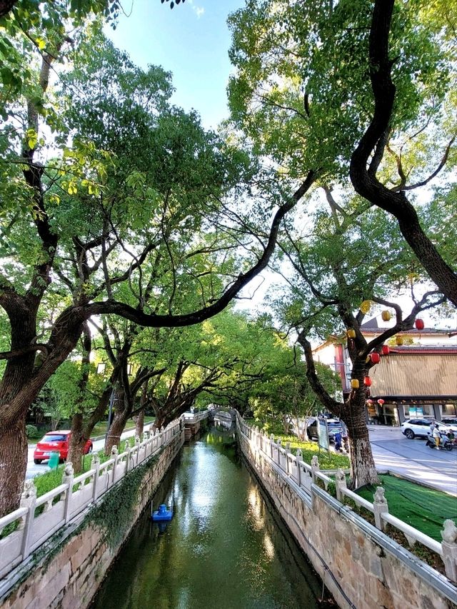 🍃《安亭老街：一場與歲月相逢的輕聲細語》