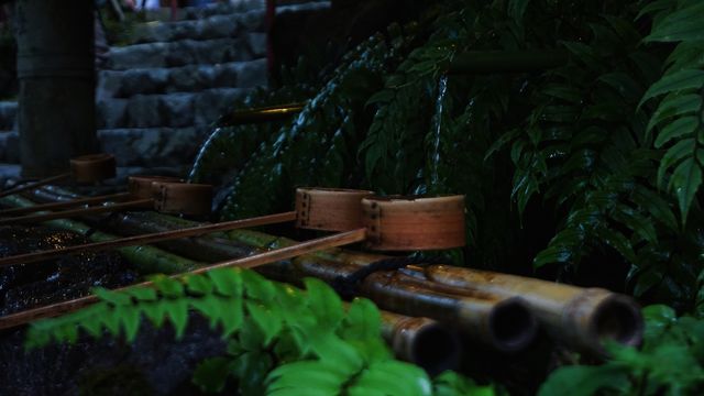 Dreamy Tanabata at Kifune Shrine: Romance Under Lanterns