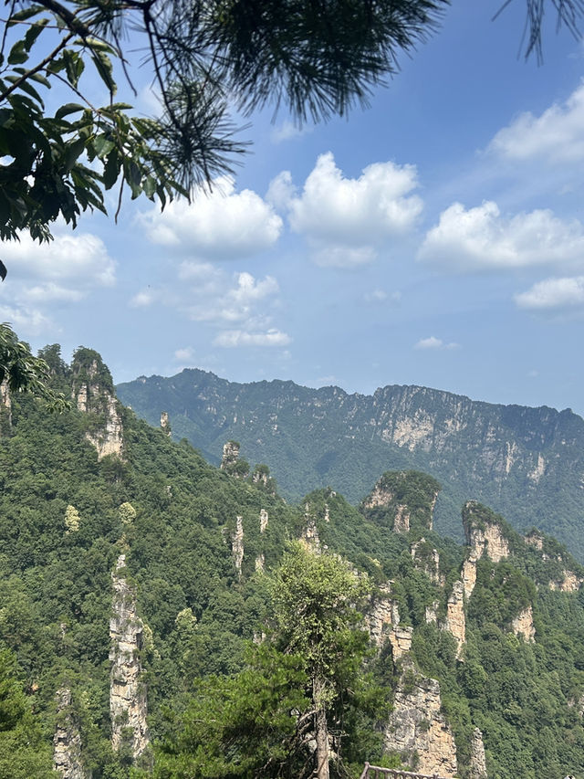 ✨ Trip Moment: Zhangjiajie ✨
