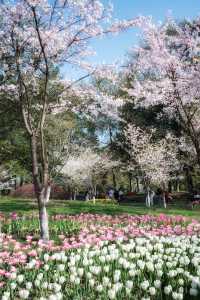 太子灣公園旅遊攻略