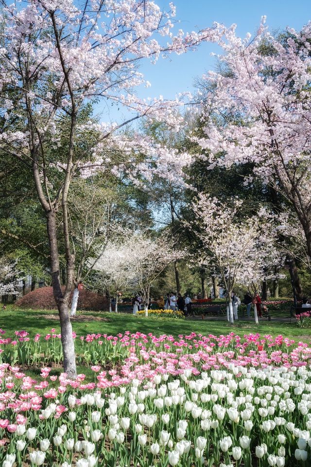 太子灣公園旅遊攻略