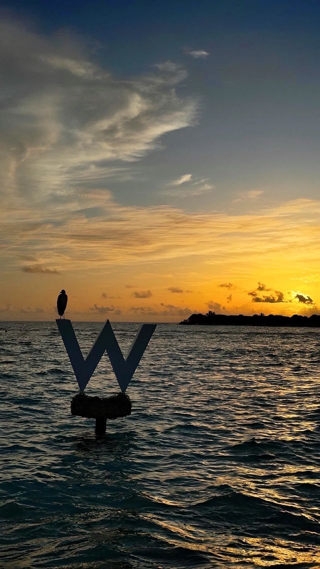 馬爾代夫絕美浮潛地