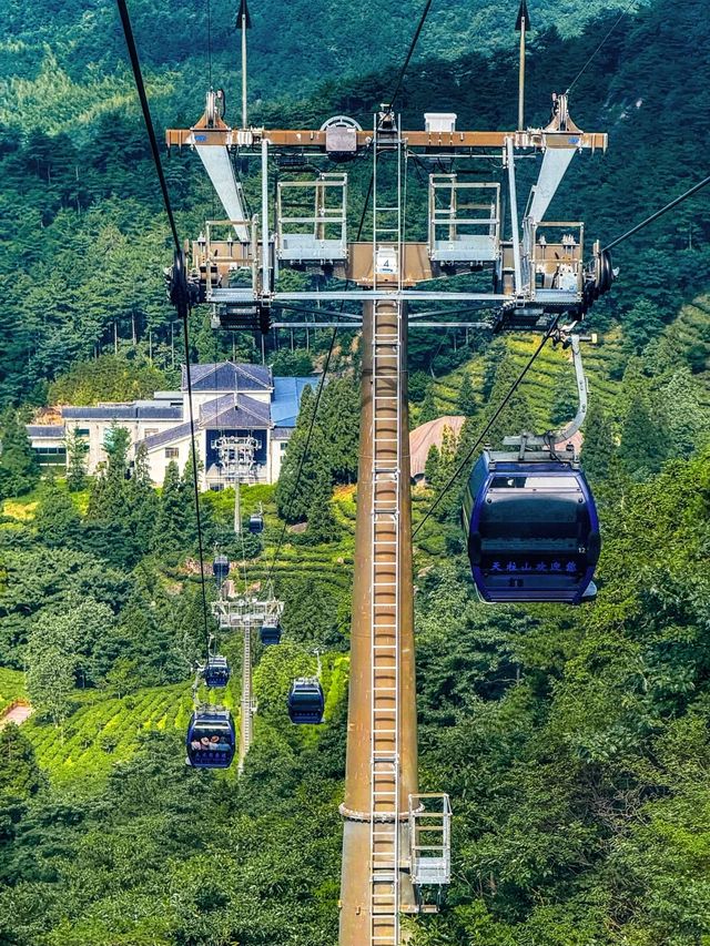 打工仔週末充電！23℃天柱山輕鬆行山，天然冷氣靠山風！