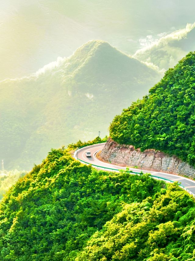 宜昌百里荒：23℃秘境藏草原，三國風雲與山楂樹浪漫交織