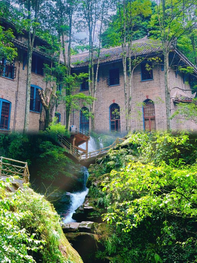 話走就走嘅旅行