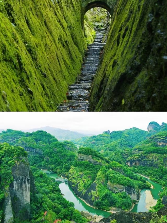 武夷山國家公園旅遊攻略