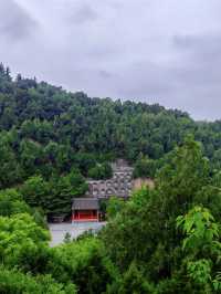 藥香不語，碑林有聲
