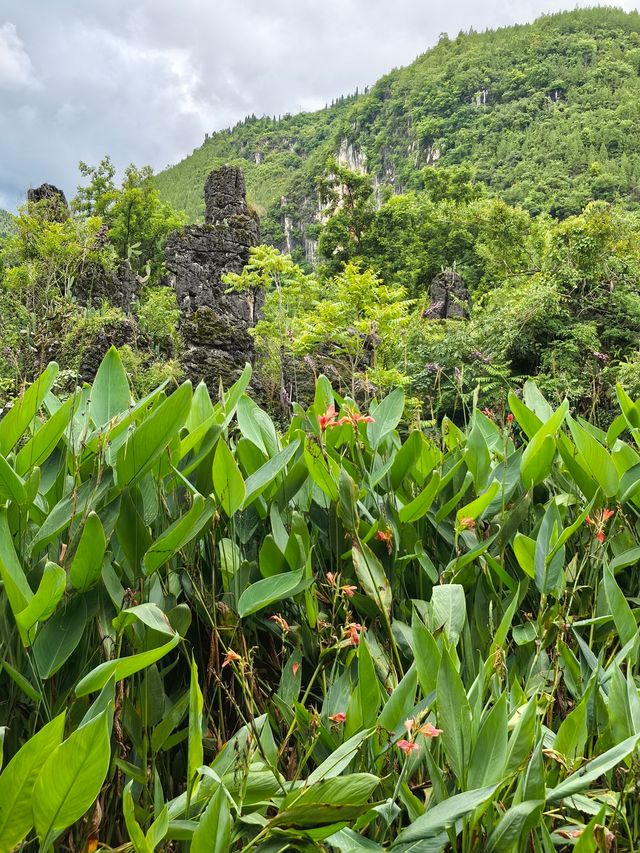 竹海瀑布輕鬆行山 竹海瀑布輕鬆行山