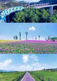 貴州的浪漫全在這裡,野玉海