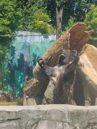 湖州龍之夢動物園全攻略｜親子/情侶/長者遊玩指南