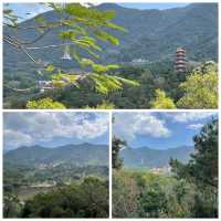 🌿仙湖雙湖記:藏在梧桐山下的鏡面秘境攻略