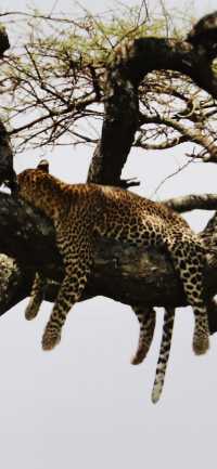 Unforgettable Tanzanian Journey