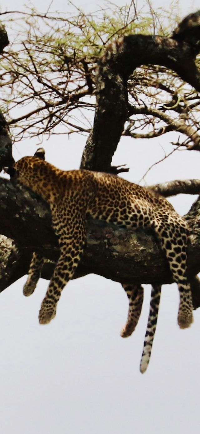 Unforgettable Tanzanian Journey