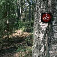 🚴‍♀️ Bicycle Tour Through Helsinki’s Forests: Urban Nature at Its Best