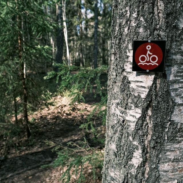 🚴‍♀️ Bicycle Tour Through Helsinki’s Forests: Urban Nature at Its Best