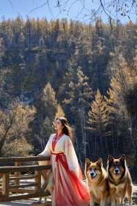阿爾山絕美旅行地大公開！真正的人間仙境