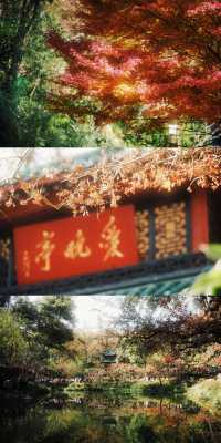長沙愛晚亭 | 墜入秋天的童話世界！