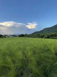 深圳最美濕地公園徒步攻略