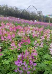 音樂百花谷：邂逅花海萌寵，共赴夜場夢幻之約