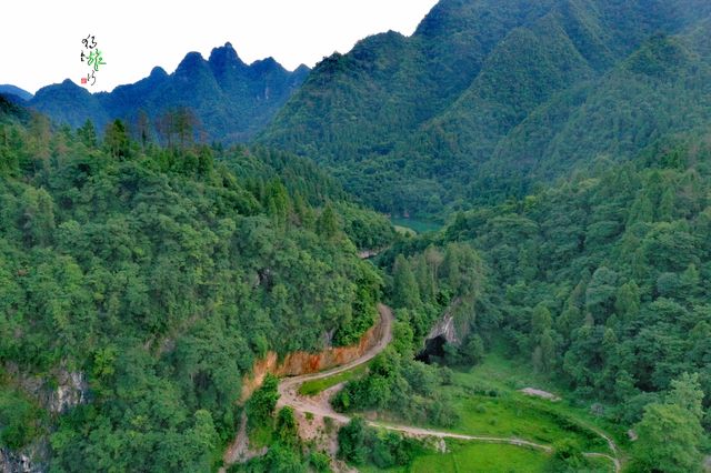 自生橋村的自生橋