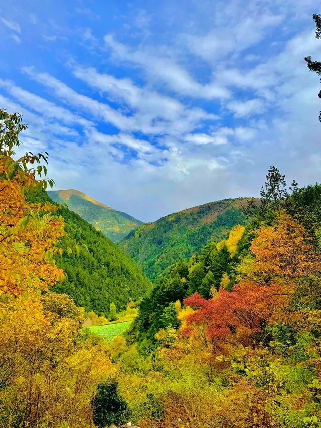 10月賞秋米亞羅彩林徒步一日遊快衝