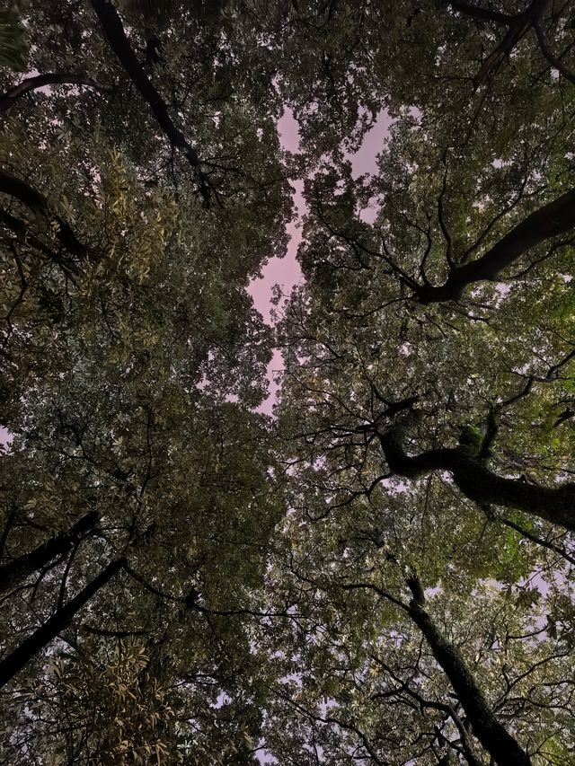 夜遊漳州古城中山公園