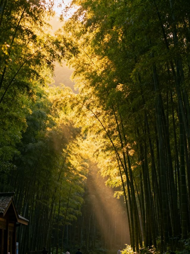 溧陽必打卡景點竹海湖景全攻略