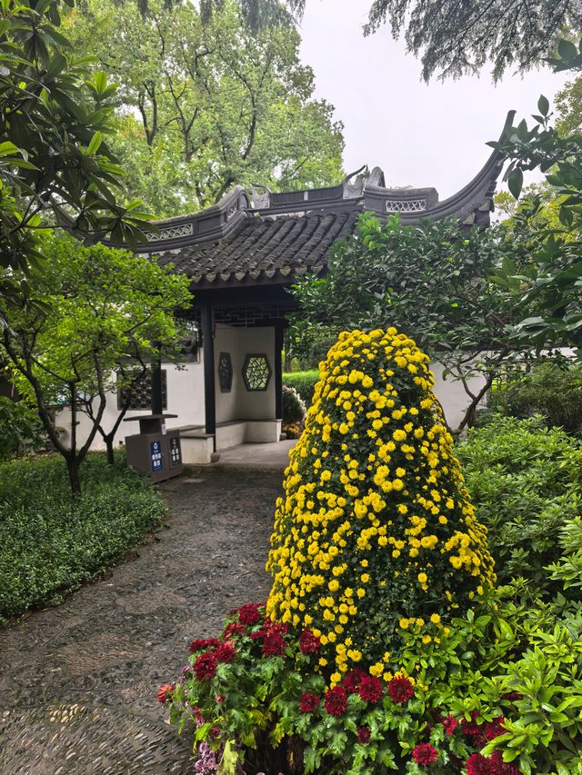 曲水園的菊花展已經幫你們看過了 曲水園的菊花展已經幫你們看過了