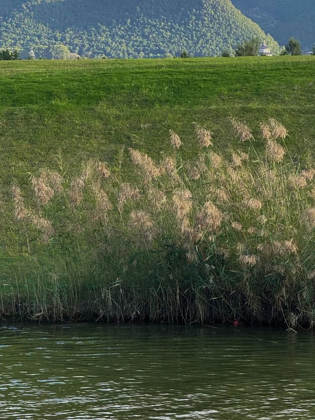 洛陽1h直達！洛水昌谷童話小鎮，坐船玩一天超出片