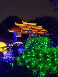 廈門夜遊頂流！園博苑花燈每週末限定浪漫