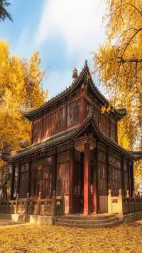 南京中山陵1日遊攻略