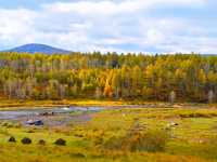 《秋日限定!阿爾山森林公園3天打卡秘笈》