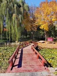 【河南省湯陰縣】城南公園。