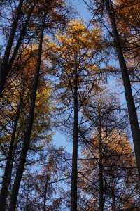 秦嶺留壩環線之情人谷