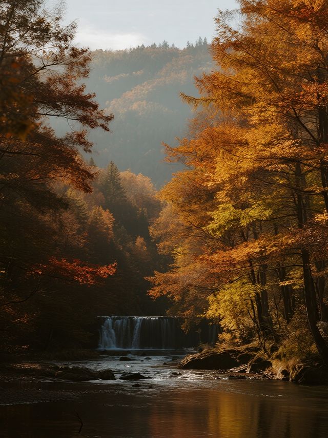 秋日遛娃私藏地！光霧山紅葉美到心巴上