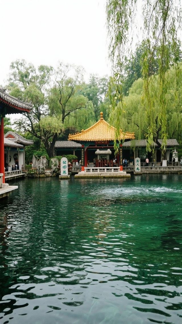 山東寶藏之旅 | 這篇攻略全搞定