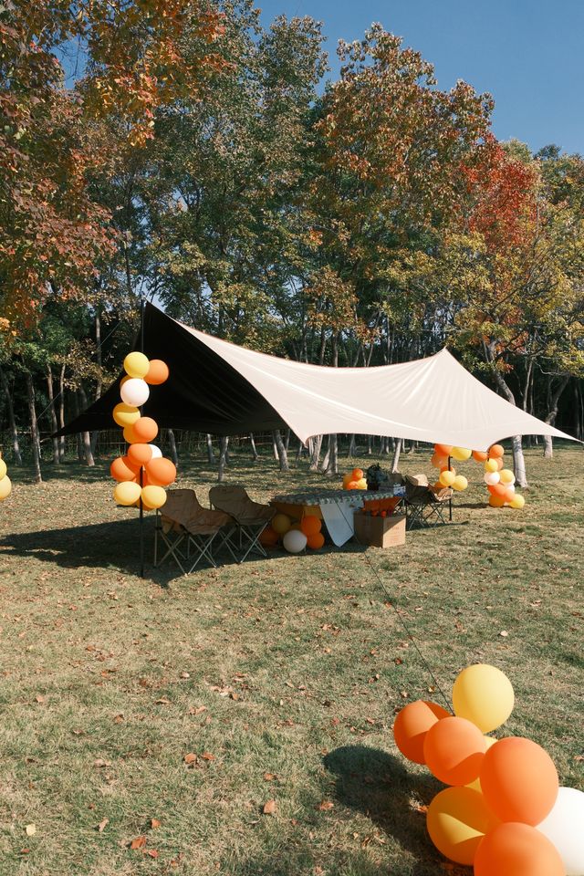 連雲港20分鐘秋景暴擊！逛個公園就闖進油畫裡