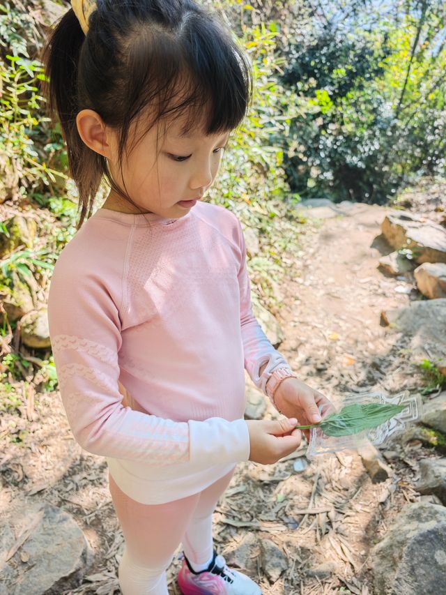 市區1h+達 深秋杭州這個古村落美到失語