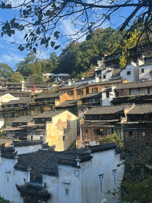 婺源篁嶺曬秋絕絕子手機拍到斷電哭著求饒